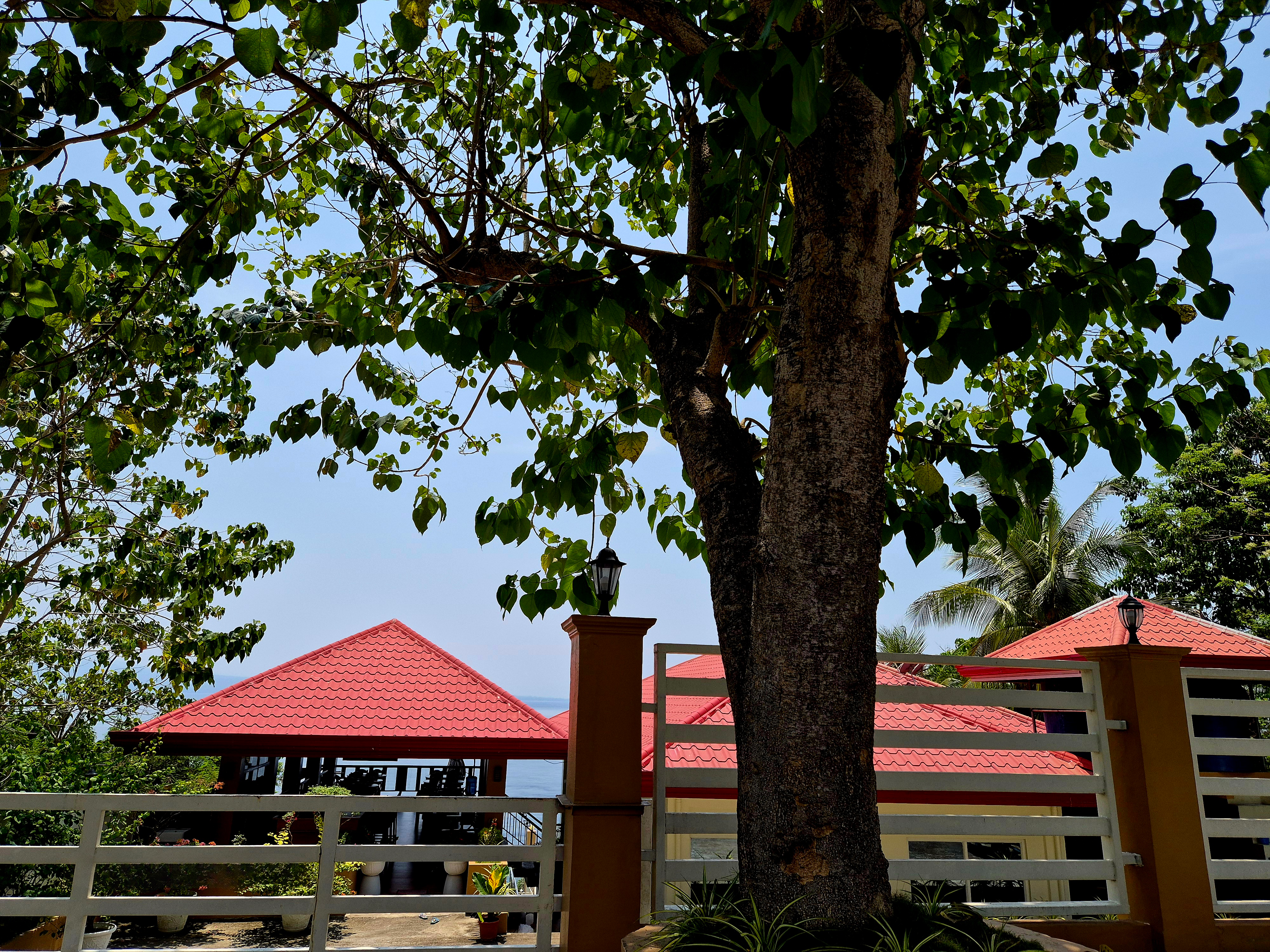 Resort building from the side, surrounded by greenery